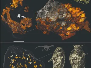 Fosil Kotoran Berusia 200 Juta Tahun Ungkap Rahasia Dinosaurus Bisa Mendominasi Bumi