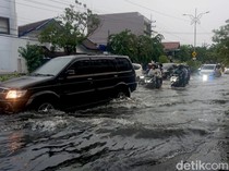 Surabaya Dilanda Hujan Angin, Jalan Tergenang-Pohon Tumbang