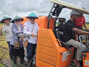 Warga Merauke Mulai Tanam di Sawah Baru, Optimisme Kesejahteraan Meningkat