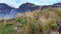 Setelah tak berproduksi lagi, Grasberg kini menjalani proses reklamasi dan penguatan lereng bekas tambang.Foto: Hans Henricus BS Aron/detikcom