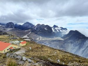 Reklamasi Grasberg Telan Rp 3,17 Miliar/Ha, Target hingga 920 Ha