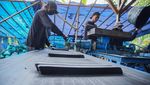 Mengubah Limbah Kelapa jadi Rupiah