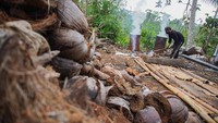 Dengan cekatan, para pekerja sibuk membuat arang briket berbahan dasar limbah batok kelapa. Bahan limbah tersebut tersedia berlimpah, mudah ditemukan di setiap sudut desa.