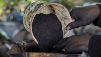 Meski usaha sederhana, soal omset tergolong cukup luar biasa. Dalam sehari, Hasan mampu mengolah 600 kilogram arang briket, atau sekitar 15 ton per bulan.