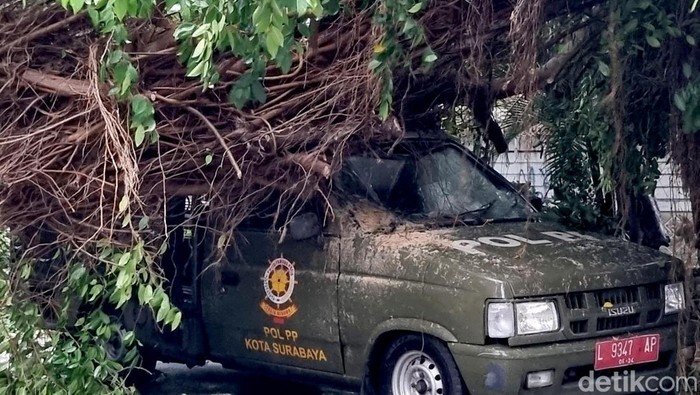 Mobil Satpol PP Ringsek Tertiban Pohon Saat Hujan Lebat