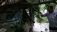 Beruntung sopir mobil Satpol PP Kota Surabaya selamat dalam kejadian ini.