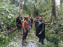 Identitas 2 Turis Tewas Tertimpa Pohon Tumbang di Monkey Forest Ubud