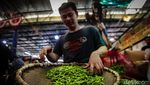 Pemerintah Jamin Stok Pangan Aman di Tengah Cuaca Ekstrem