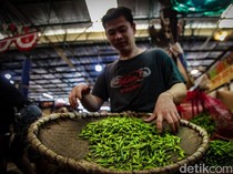 Pemerintah Jamin Stok Pangan Aman di Tengah Cuaca Ekstrem