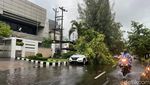 Surabaya Dilanda Hujan Angin, Jalan Tergenang-Pohon Tumbang