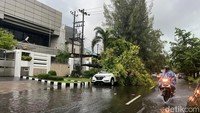 Pohon tumbang menimpa mobil di Jalan Anjasmoro Surabaya saat hujan melanda Kota Surabaya.