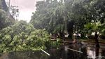 Kemacetan di Jalan Kertajaya Surabaya Imbas Pohon Tumbang