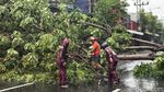 Kemacetan di Jalan Kertajaya Surabaya Imbas Pohon Tumbang
