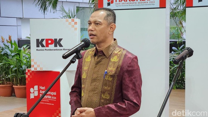 Wakil Ketua KPK Nurul Ghufron (Adrial Akbar/detikcom)