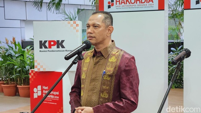 Wakil Ketua KPK Nurul Ghufron (Adrial Akbar/detikcom)
