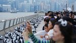 2.500 Patung Panda Menggemaskan Hiasi Hong Kong