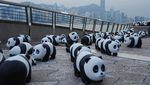 2.500 Patung Panda Menggemaskan Hiasi Hong Kong