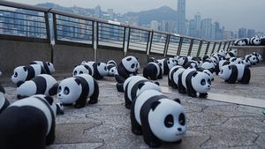 2.500 Patung Panda Menggemaskan Hiasi Hong Kong