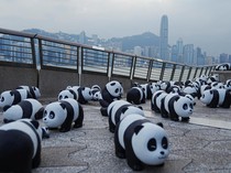 2.500 Patung Panda Menggemaskan Hiasi Hong Kong