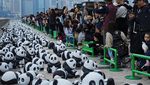 2.500 Patung Panda Menggemaskan Hiasi Hong Kong