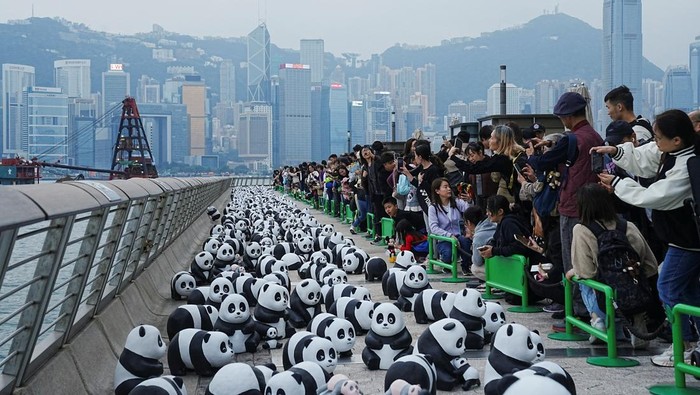 Hong Kong memamerkan 2.500 patung panda dalam 