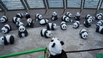 2.500 Patung Panda Menggemaskan Hiasi Hong Kong