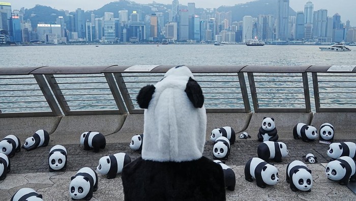 Hong Kong memamerkan 2.500 patung panda dalam 
