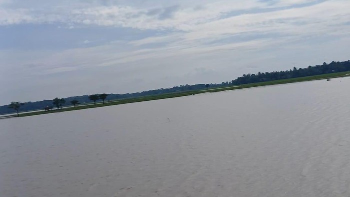 Area persawahan di Pandeglang terendam banjir imbas diguyur hujan