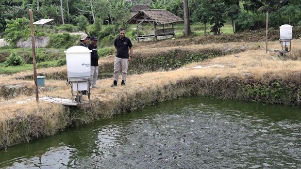 BAKTI menunjukkan komitmennya dalam digitalisasi masyarakat, tak terkecuali para pembudidaya tambak di Lampung, khususnya di Kecamatan Palas, Lampung Selatan. Tak bisa dimungkiri, peranan teknologi dalam membangun Indonesia sangat besar