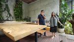 Keren! Ini Dapur Rachel Vennya yang Mewah dan Bergaya Modern