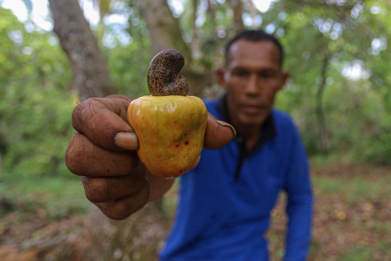 Internet bantu petani mete memasarkan hasil panen.