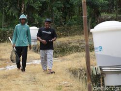 Intip Digitalisasi Sektor Perikanan di Lampung Selatan