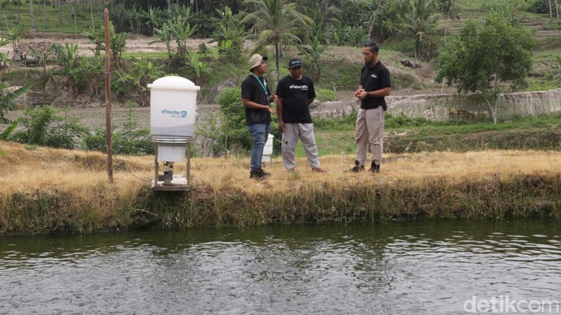 BAKTI Komdigi hadir mendukung pengembangan sektor perikanan di Lampung Selatan. BAKTI hadirkan teknologi digital untuk tingkatkan sektor tersebut.
