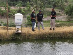 Intip Digitalisasi Sektor Perikanan di Lampung Selatan