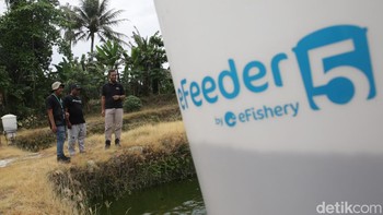 Sejauh ini, sudah ada 15 alat eFeeder yang diinvestasikan BAKTI untuk pembudidaya ikan di Desa Palas.