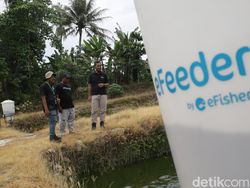 Intip Digitalisasi Sektor Perikanan di Lampung Selatan