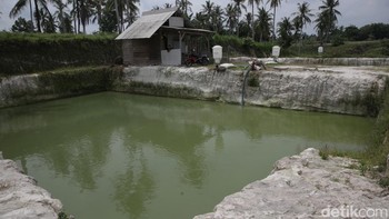 BAKTI bersama eFishery menghadirkan Smart autofeeder atau perangkat otomatis untuk memberi pakan ikan yang berada di tambak. Dengan alat ini, petambak dimudahkan dalam hal memberi pakan ternak dengan waktu yang telah ditentukan.