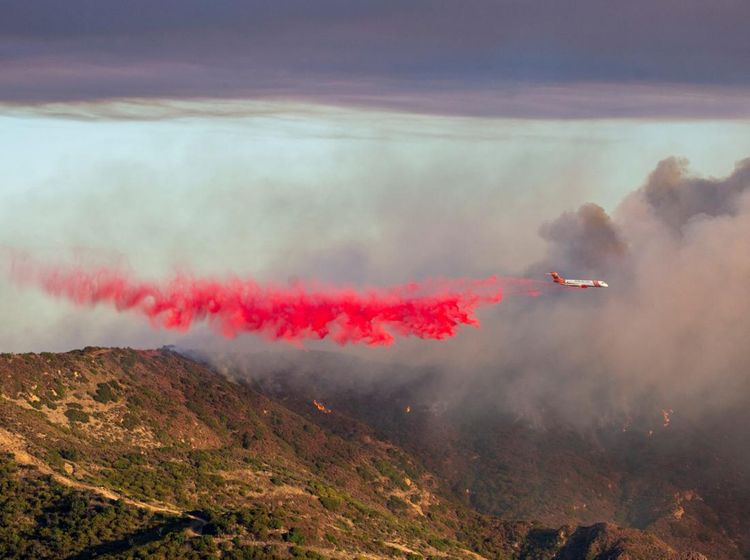 Kebakaran Hutan di Malibu California Merembet ke Rumah Warga