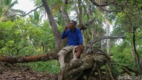 Sebagai informasi, Konawe Kepulauan merupakan salah satu daerah yang kini merasakan manfaat langsung dari proyek Palapa Ring. Kehadiran titik interkoneksi internet di Wawonii ini menjadi angin segar bagi masyarakat setempat.