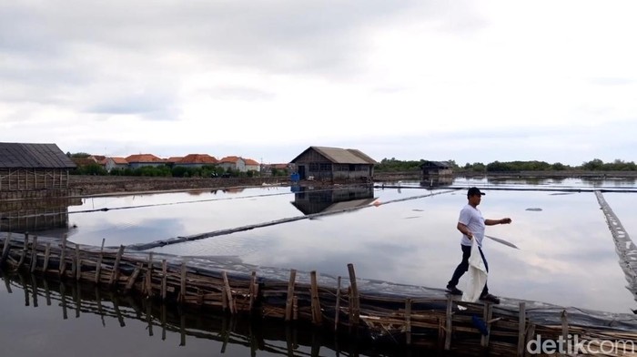 Lahan tambak petani garam di Probolinggo yang gagal panen imbas hujan terus-menerus.
