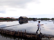 Petani Garam di Probolinggo Gagal Panen Imbas Hujan Terus-menerus