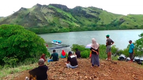 Paus jumbo yang terdampar di Teluk Labuan Kelambu, Desa Sambinasi Tengah, Kecamatan Riung, Kabupaten Ngada, NTT. (Istimewa)
