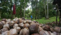 Selain terdapat titik Network Operation Center (NOC) Palapa Ring, Konawe Kepulauan memiliki 119 titik akses internet yang tersebar di sekolah, kantor desa, tempat ibadah, dan hingga tempat wisata Pantai Kampa ini. BAKTI Komdigi juga telah membangun 35 tower BTS yang tersebar di seluruh kabupaten ini.  