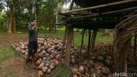 Ketika semua sudah siap, petani tinggal mencari pembeli yang cocok, yang kini jauh lebih mudah berkat kemajuan teknologi. Hadirnya internet membawa perubahan besar bagi petani kopra di Wawonii. Dahulu, setelah kopra selesai diproduksi, petani harus berurusan dengan kapten kapal kayu yang membawa hasil panen mereka ke Kendari. Proses ini bisa memakan waktu berminggu-minggu hingga hasil penjualan diterima.  
