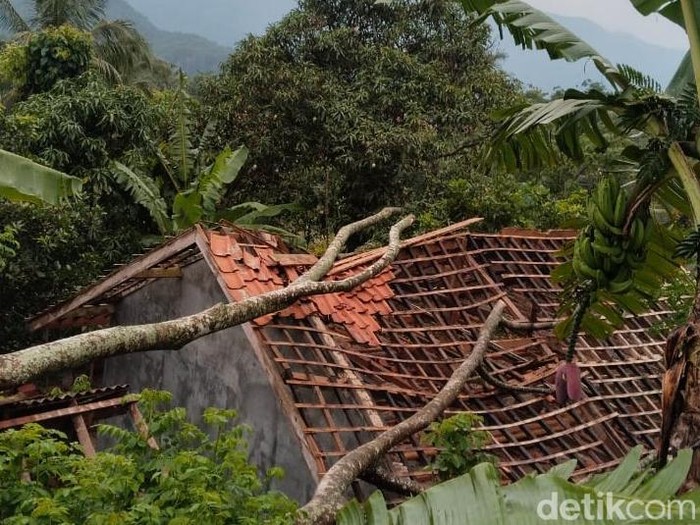 Pohon tumbang menimpa rumah warga di Dukuh Wanasri, Desa Waru, Bantarkawung, Kabupaten Brebes, Ranu (11/12/2024).