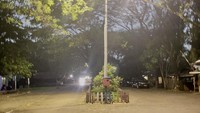 Selain pesona alamnya yang sejuk oleh pepohonan, Situ Cipule juga punya nilai historis karena pernah jadi lokasi pertandingan cabang olahraga dayung dalam ajang SEA Games beberapa tahun silam. (Asti Azhari/detikTravel)