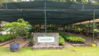 Menurut data PT Freeport Indonesia ada sekitar 23 ribu hektare lahan untuk pemanfaatan tailing. Dari lahan seluas itu, 60% penanaman dikerjakan Freeport Indonesia, sementara 40% tumbuh dengan sendirinya.
