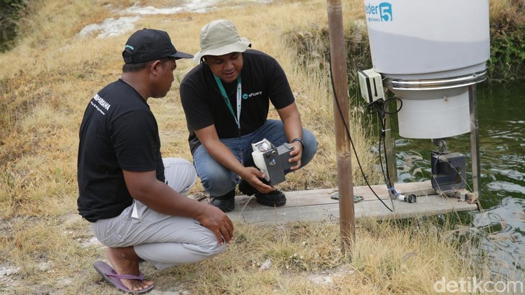 Alat Ini Bantu Petambak di Lampung Selatan Kasih Pakan Ternak Otomatis BAKTI Komdigi berkolaborasi dengan eFishery dalam mendorong digitalisasi sektor perikanan. Digitalisasi tersebut berupa alat pakan otomatis yang didukung internet.