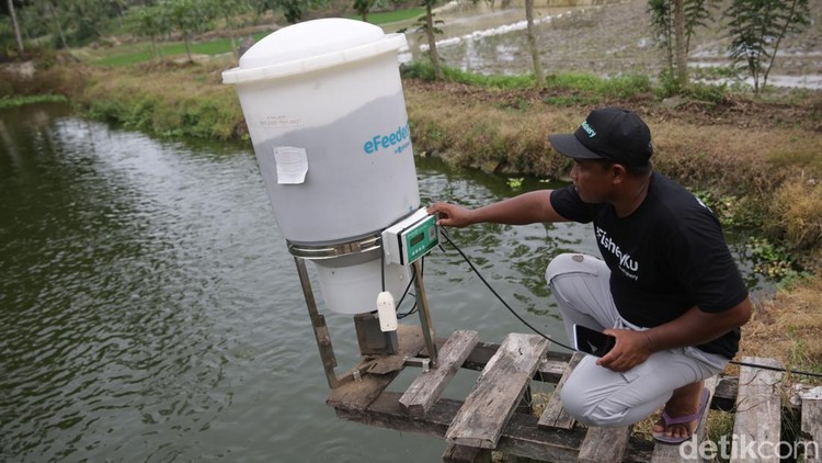 BAKTI Komdigi berkolaborasi dengan eFishery dalam mendorong digitalisasi sektor perikanan. Digitalisasi tersebut berupa alat pakan otomatis yang didukung internet.