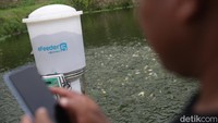 BAKTI Komdigi berkolaborasi dengan eFishery dalam mendorong digitalisasi sektor perikanan. Digitalisasi tersebut berupa alat pakan otomatis yang didukung internet.